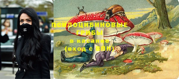 бутират Алексеевка